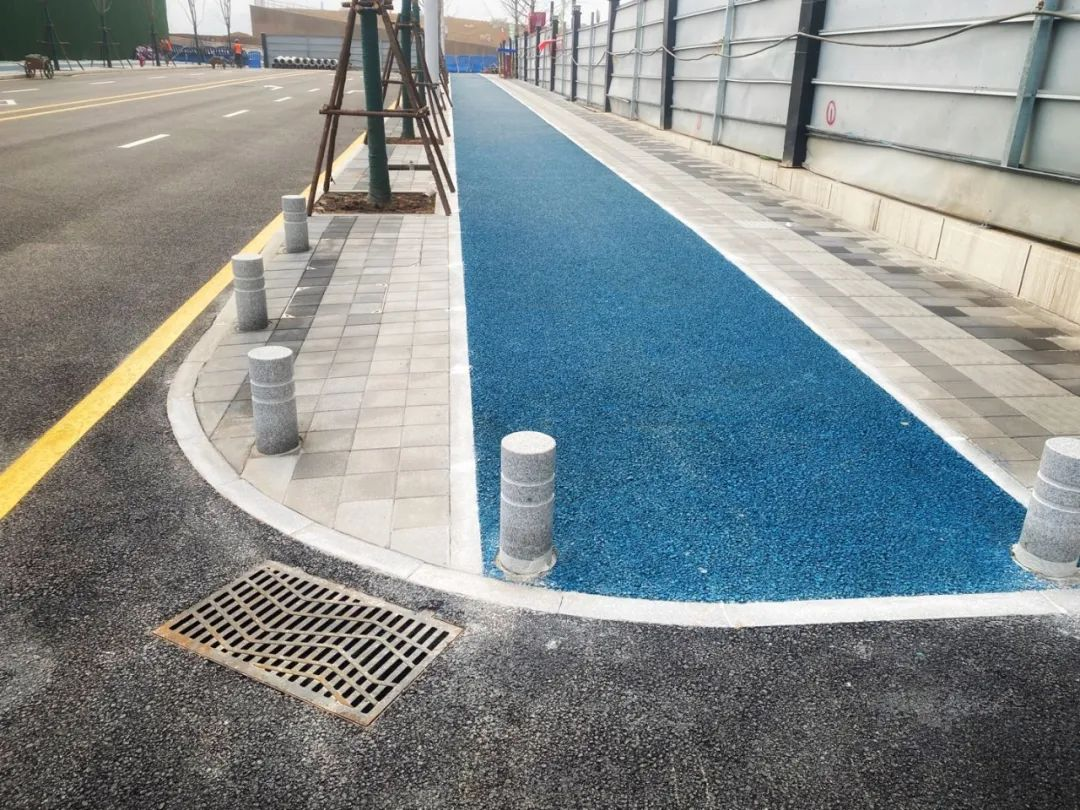 樹穴石縫隙居中.jpg 圖片